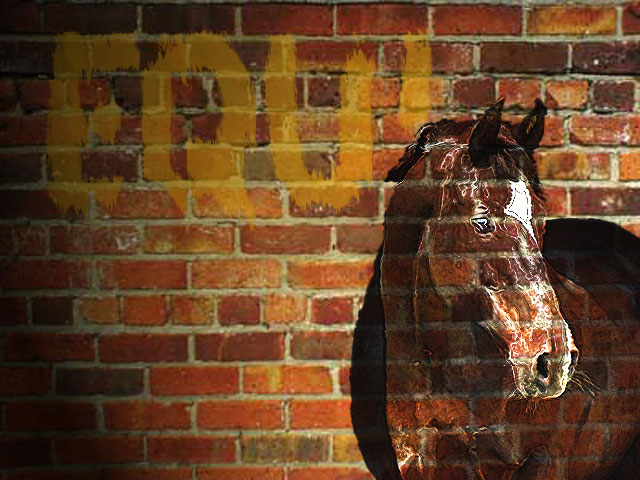 zeď-a-obraz-koně(PhotoshopCS3).jpg
