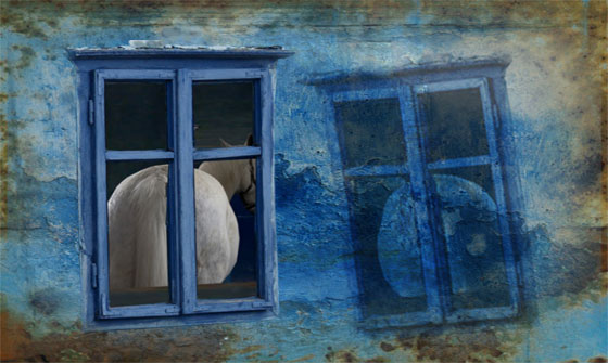 koně-za-oknem(PhotoshopCS3).jpg