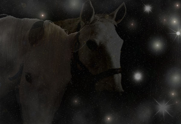 textura-noční-oblohy-se-siluetami-koní(PhotoshopCS3).jpg